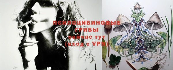 спиды Горнозаводск