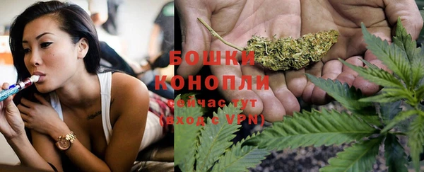 дживик Горняк