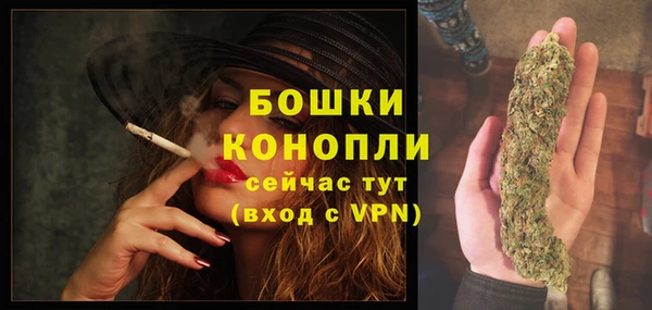 apvp Горно-Алтайск