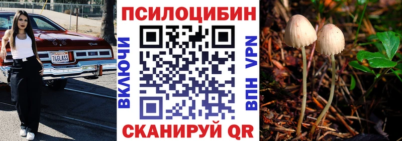 Купить где  Кола  Галлюциногенные грибы Cubensis 