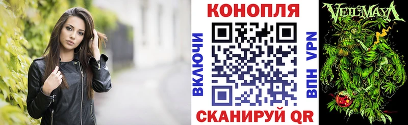 Купить где  Кола  Конопля ГИДРОПОН 